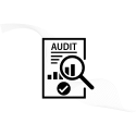 Citation Audit